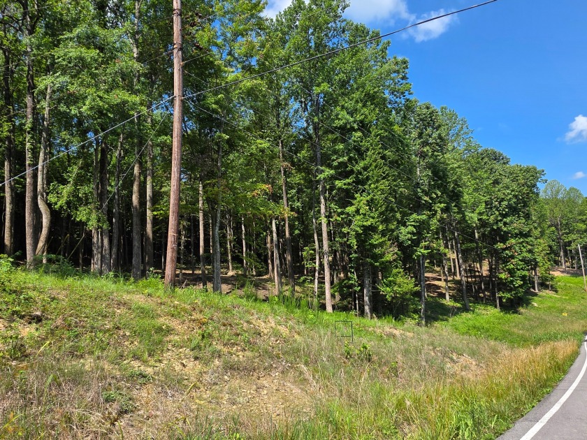 CLOSE to Cave Creek Campground, Hiking Trails and Boat Ramp - photo 2