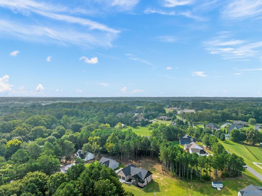 Stunning full brick home built in 2021 with 4 beds, 3 baths and - photo 42