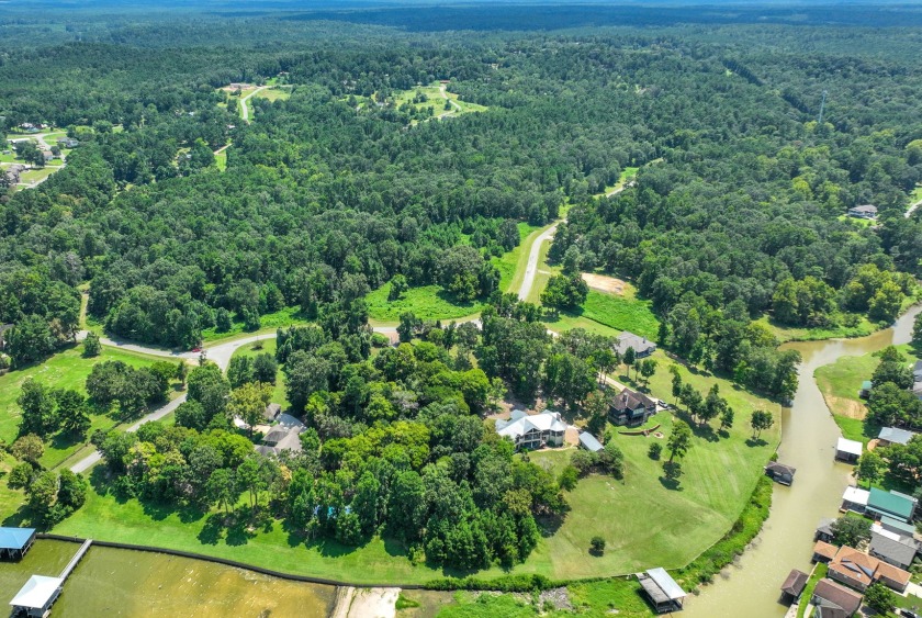2 Acres Waterfront - photo 6