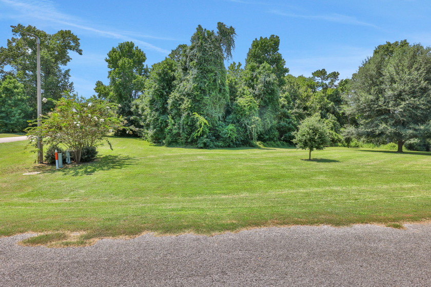2 Acres Waterfront - photo 13