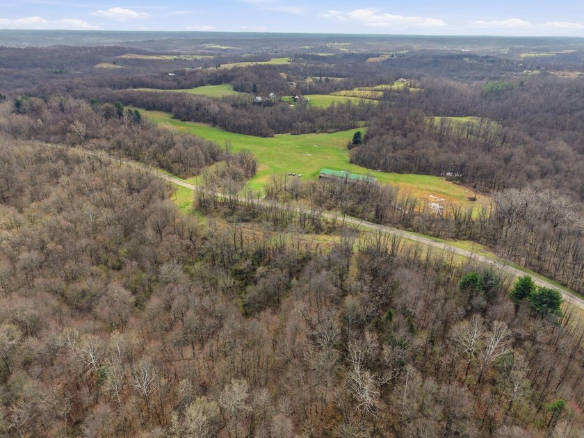Prime Development Opportunity: 107+ Acre Private Airpark &amp; - photo 11