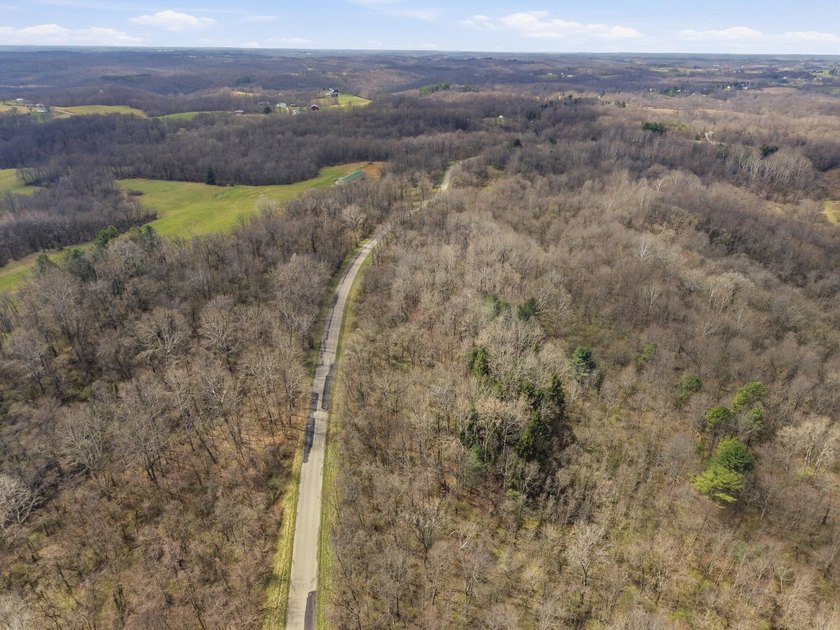 Prime Development Opportunity: 107+ Acre Private Airpark &amp; - photo 13