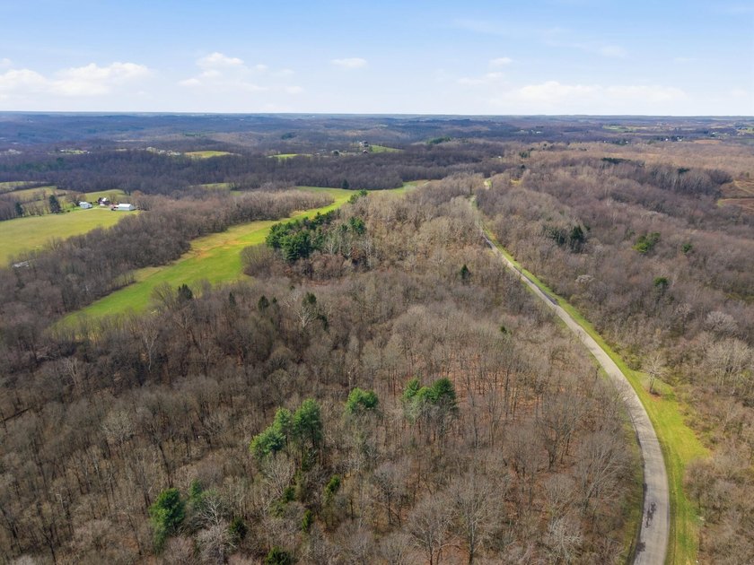 Prime Development Opportunity: 107+ Acre Private Airpark &amp; - photo 14