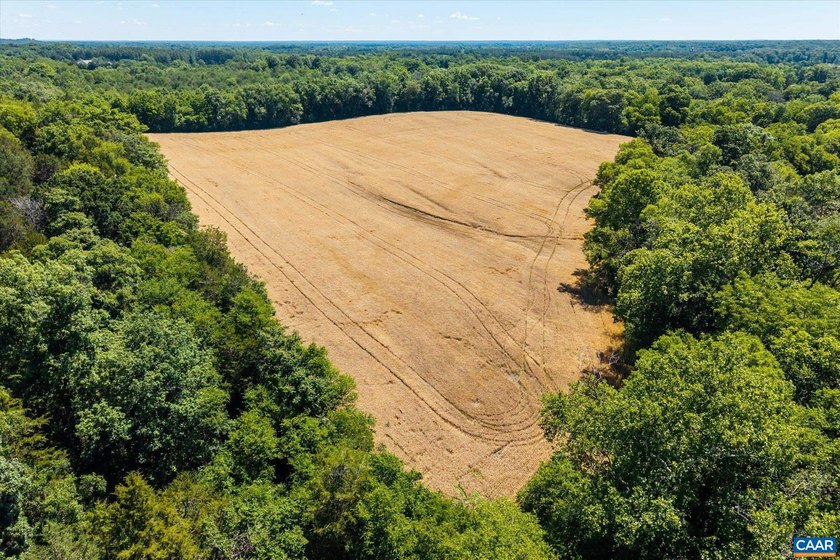 300.22 ACRES of beautiful rolling acres , predominantly cropland - photo 31