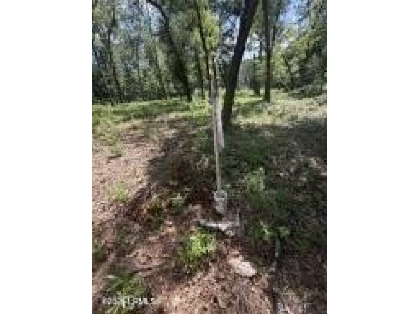 The stress-free with no restrictions vacant land is now - photo 7