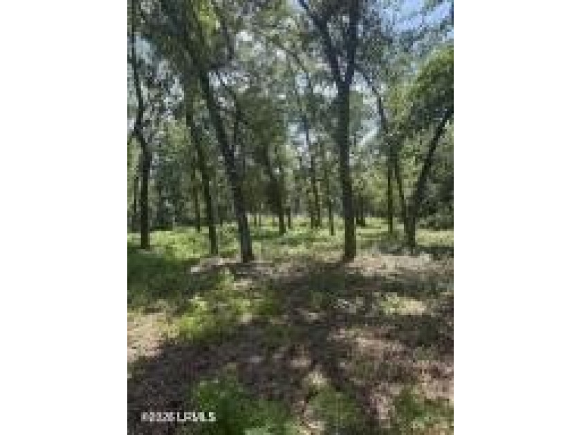 The stress-free with no restrictions vacant land is now - photo 8