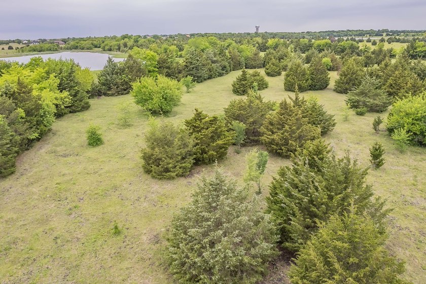 Rare opportunity to own a private, Ag-exempt estate just minutes - photo 24