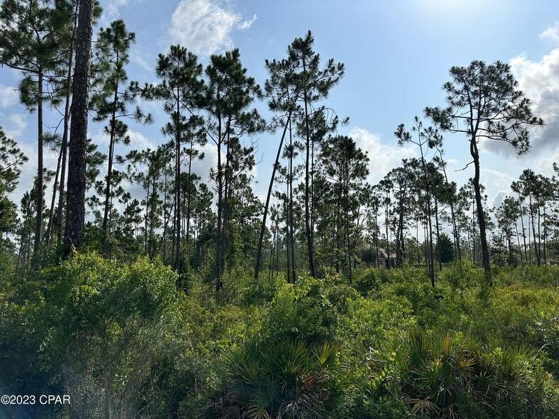 Check out this EPIC lot at a GREAT price! Laird Bayou is a - photo 5