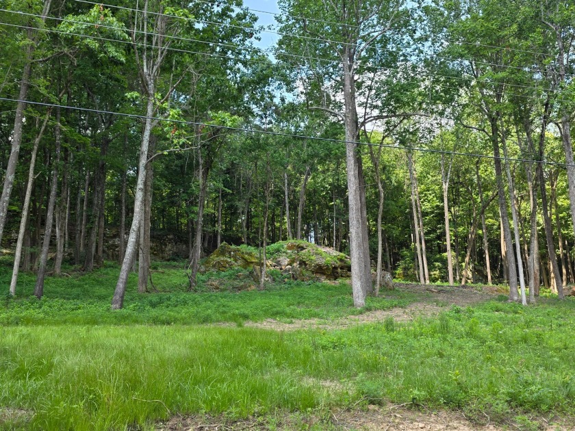 Rustic Setting, Close to the Lake! - photo 7