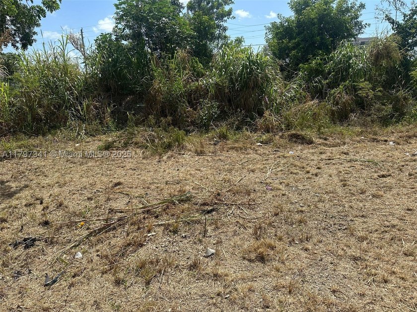 Attention Developers Investors .Land lot for sale ,12 Floors - photo 2