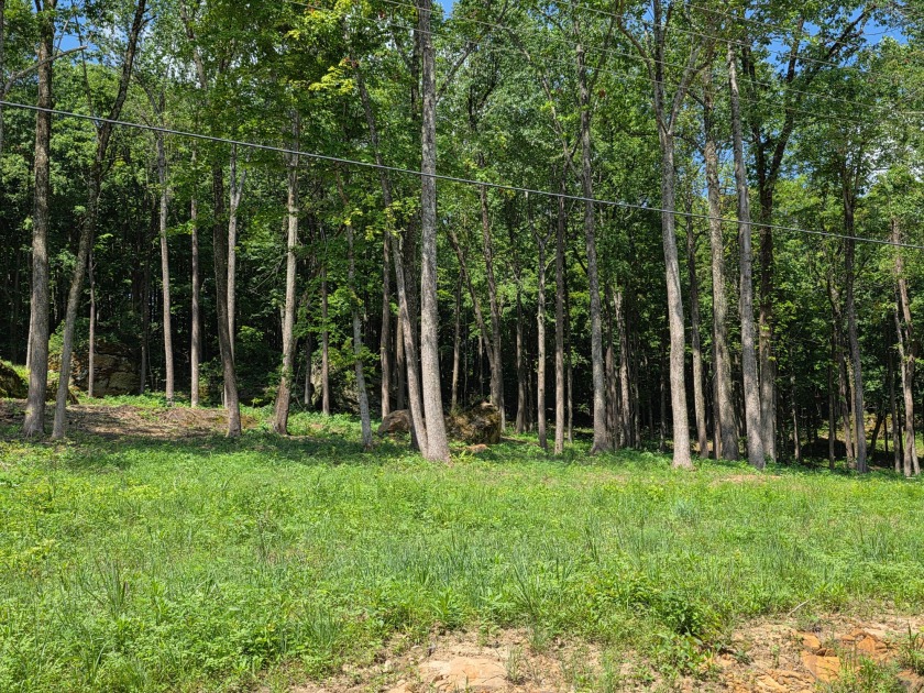 Rustic Setting, Close to the Lake! - photo 10