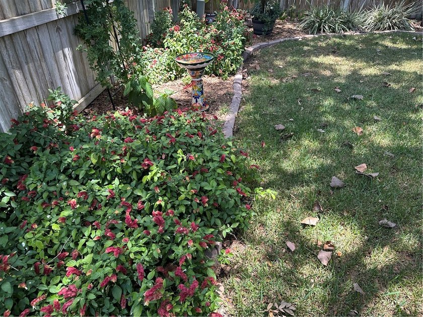 Beautiful from the curb to the back yard. Decorator colors in - photo 23