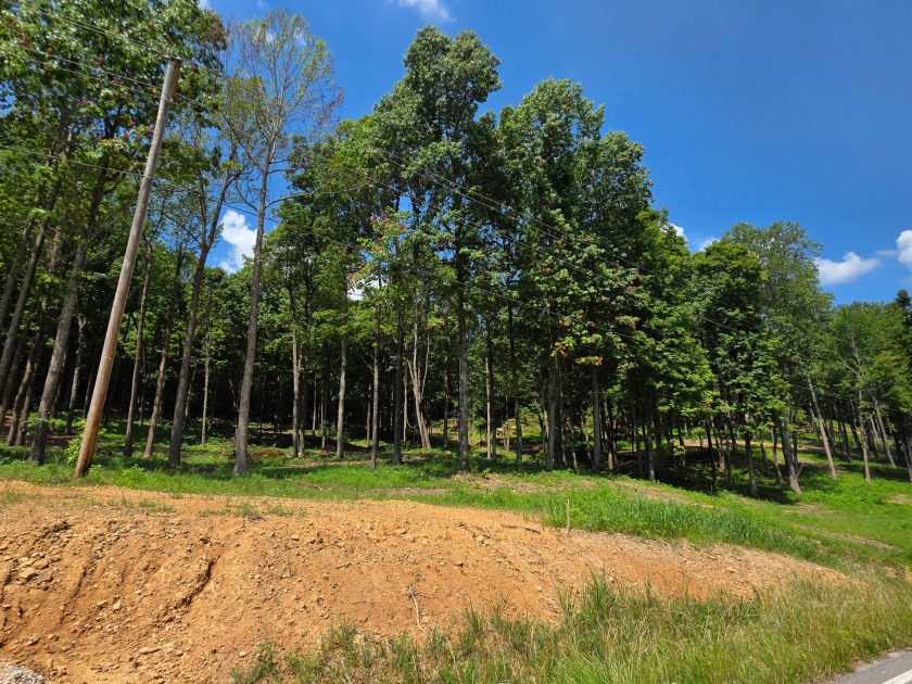 Rustic Setting, Close to the Lake! - photo 11