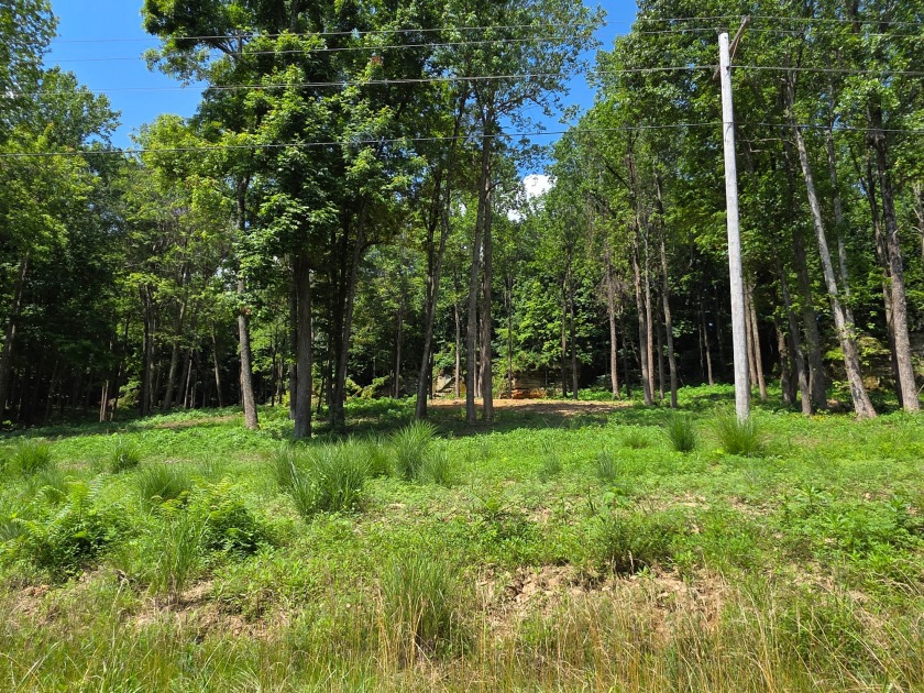 Rustic Setting, Close to the Lake! - photo 4