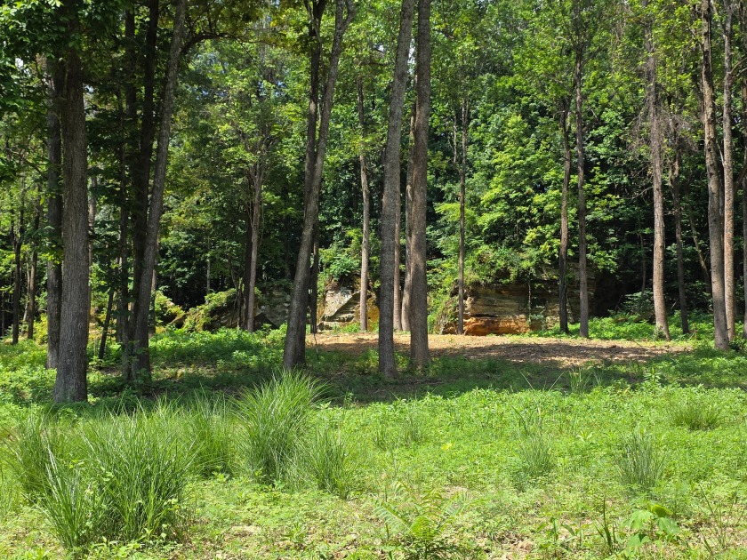 Rustic Setting, Close to the Lake! - photo 3