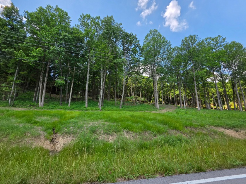 Rustic Setting, Close to the Lake! - photo 8