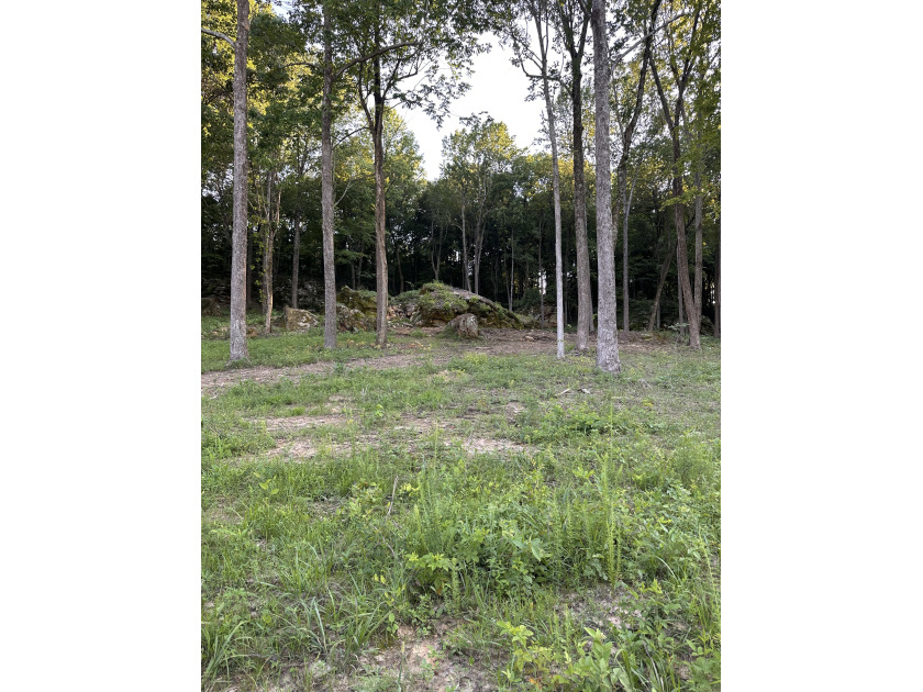 Rustic Setting, Close to the Lake! - photo 13