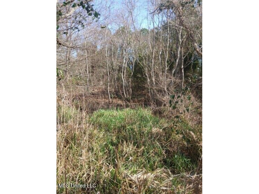 Discover a rare opportunity to own a stunning stretch of - photo 14