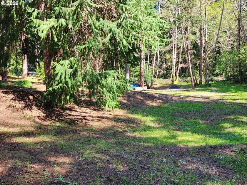 Tucked away on a private road in a charming coastal Oregon town - photo 26