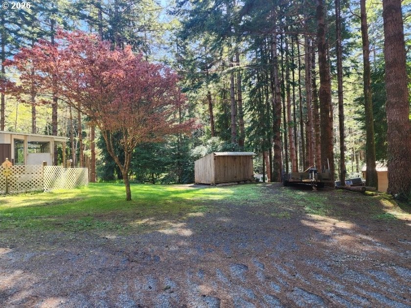 Tucked away on a private road in a charming coastal Oregon town - photo 29