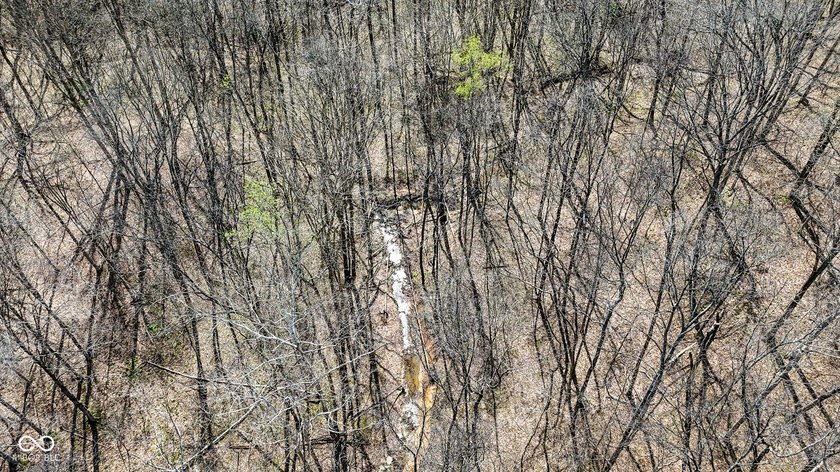 Did you say roughly 23 acres of heavily wooded ground currently - photo 7