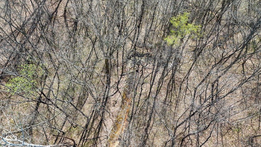 Did you say roughly 23 acres of heavily wooded ground currently - photo 8