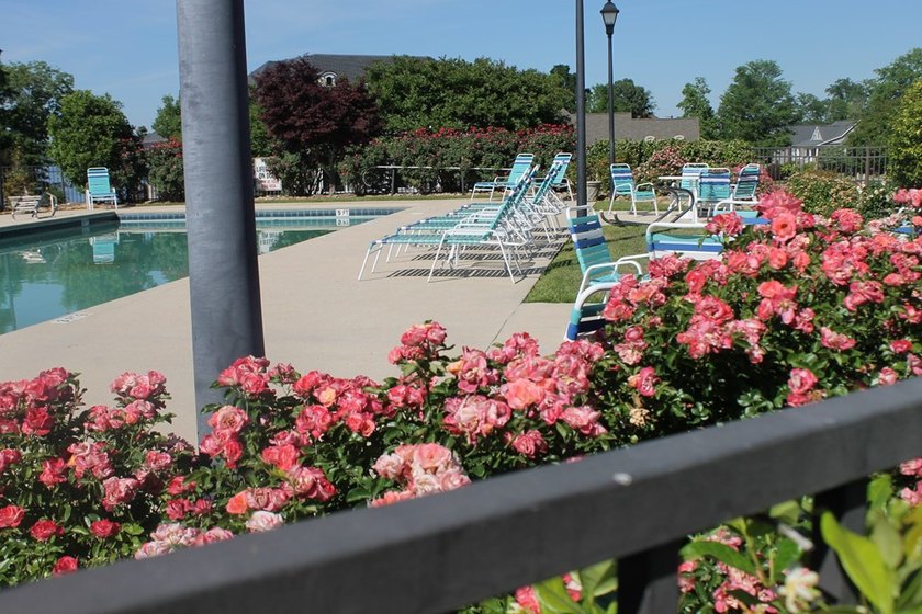 This is a most beautiful and affordable cleared lot in gorgeous - photo 22
