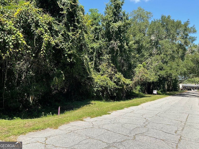 This 0.32 Acres lot has tall hardwood trees and smaller palm - photo 3