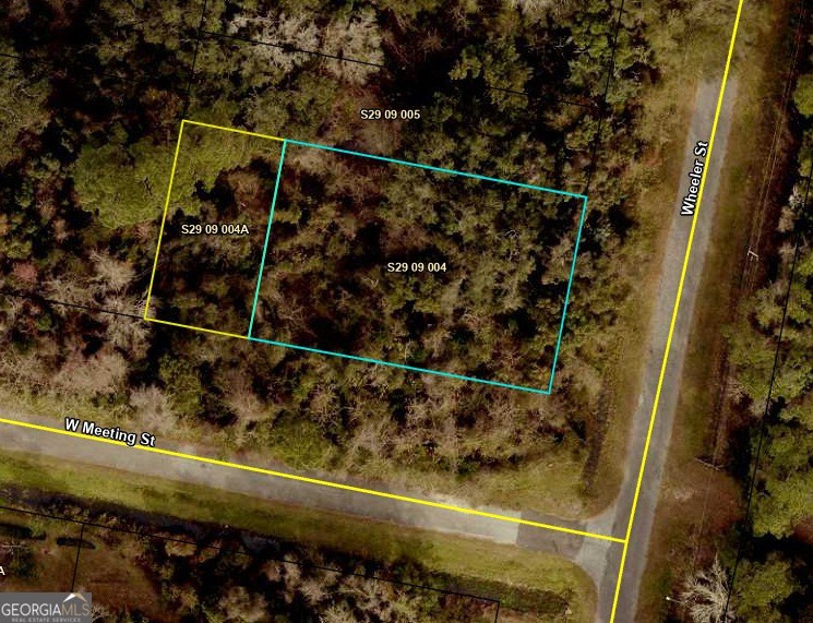 This 0.32 Acres lot has tall hardwood trees and smaller palm - photo 4