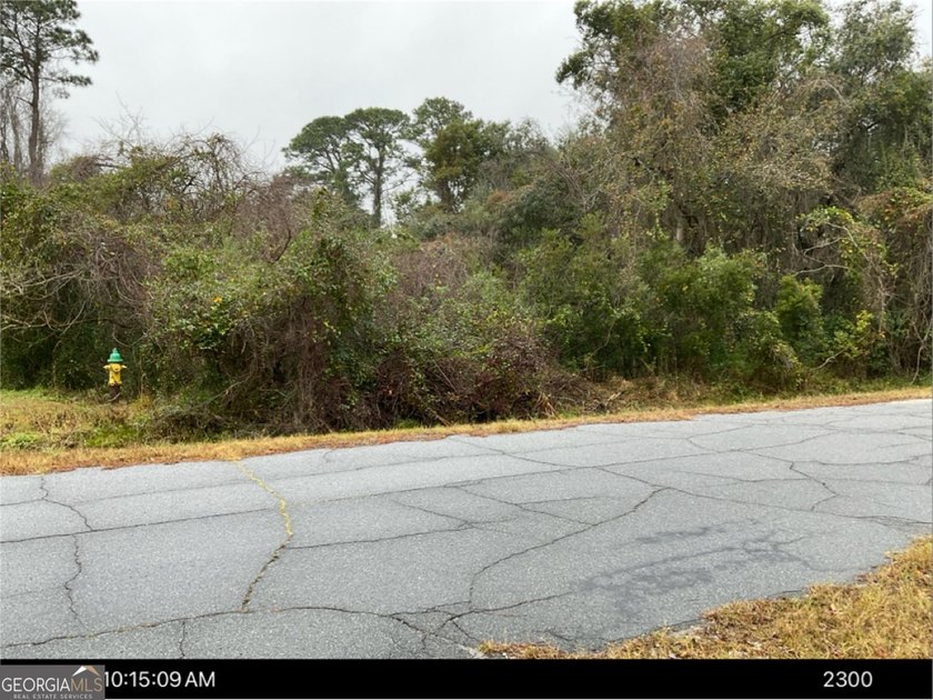 This 0.32 Acres lot has tall hardwood trees and smaller palm - photo 5