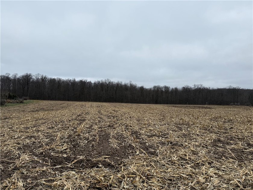 This 3-acre lot, located just minutes from the pristine Long - photo 2