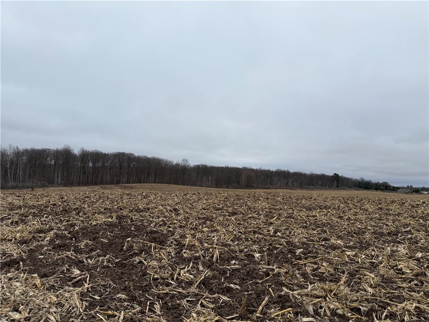 This 3-acre lot, located just minutes from the pristine Long - photo 5