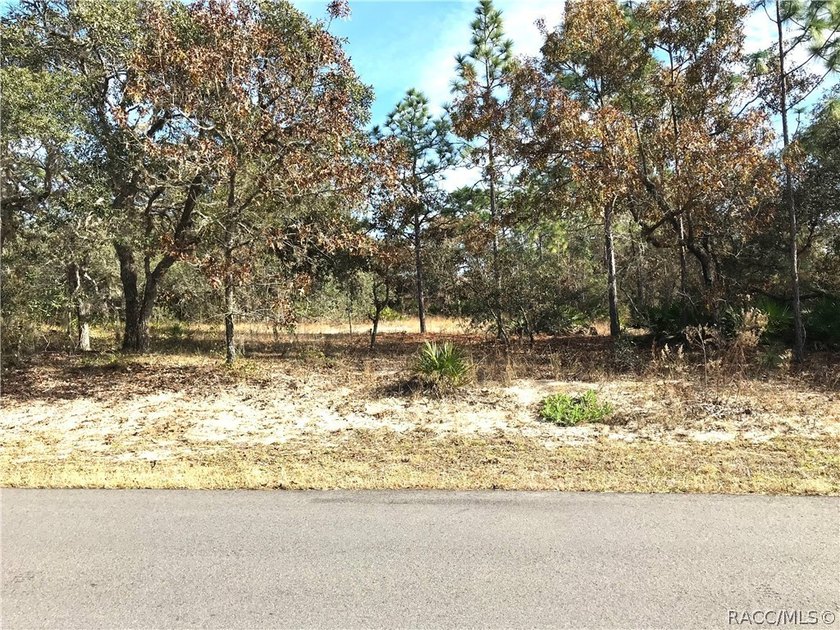 Premium home site in Cypress Village at Sugarmill Woods. Lot 17 - photo 4
