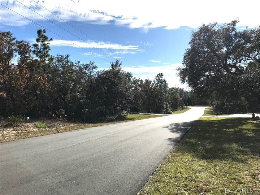 Premium home site in Cypress Village at Sugarmill Woods. Lot 17 - photo 5