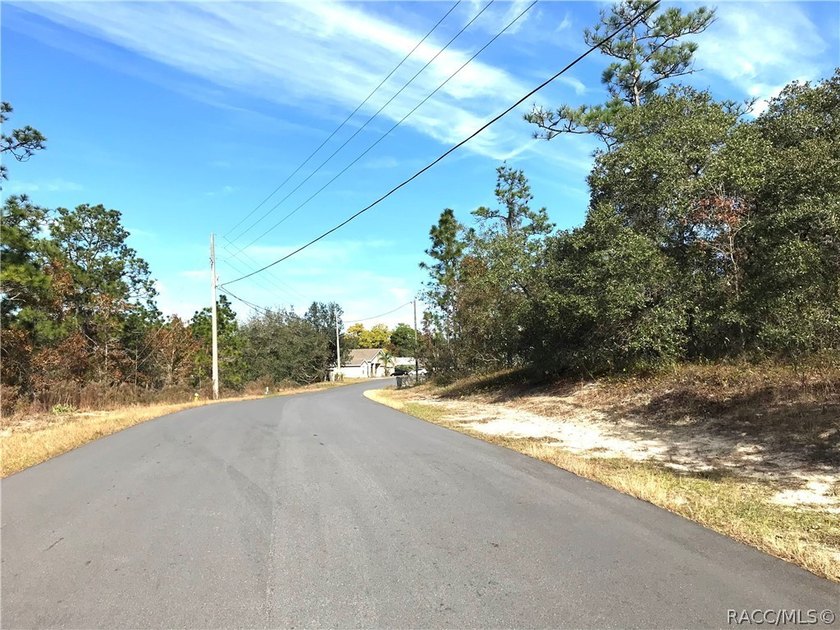 Premium home site in Cypress Village at Sugarmill Woods. Lot 17 - photo 7