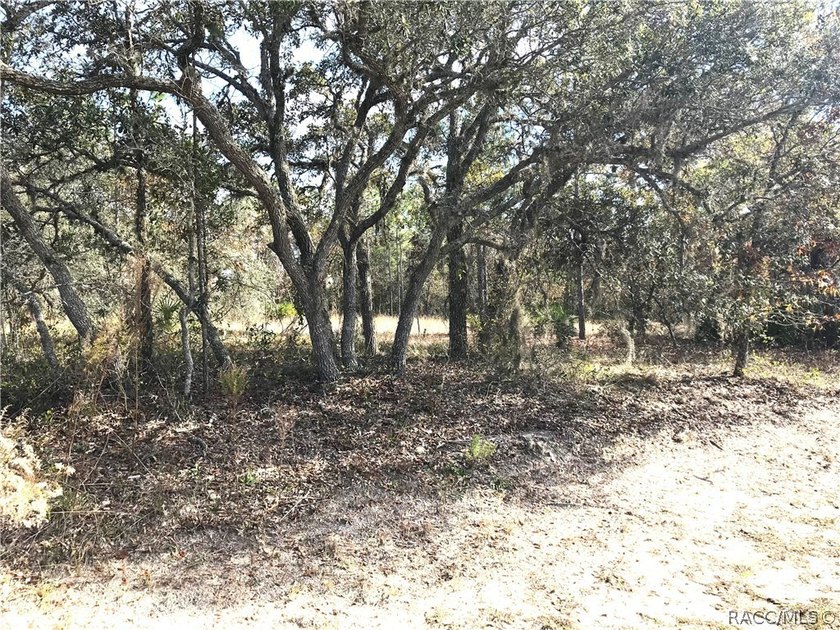 Premium home site in Cypress Village at Sugarmill Woods. Lot 17 - photo 8