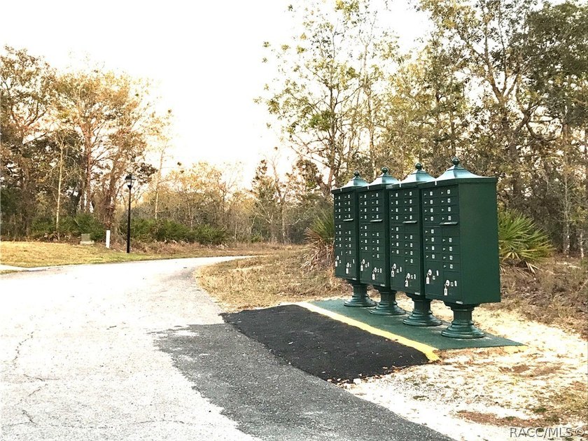 Premium home site in Oak Village at Sugarmill Woods. Lot 16 - photo 3