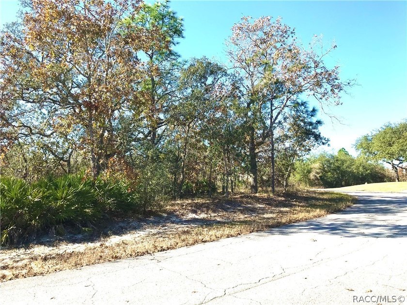 Premium home site in Oak Village at Sugarmill Woods. Lot 16 - photo 7