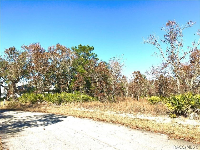 Premium home site in Oak Village at Sugarmill Woods. Lot 16 - photo 8
