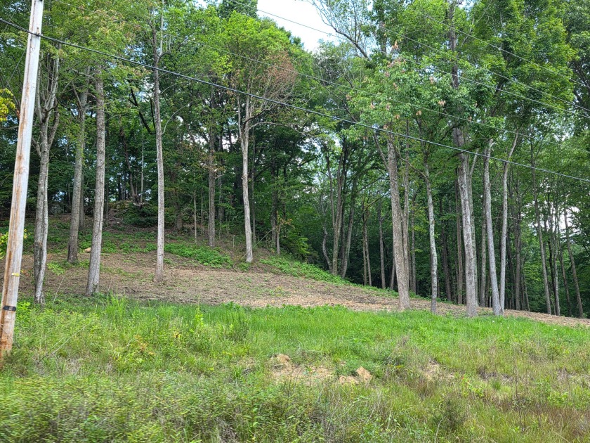 1.61 Acres Close to Cave Creek! - photo 3