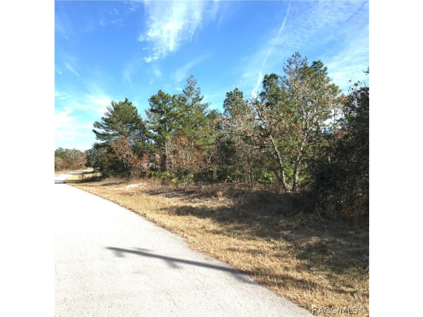 Premium home site in Oak Village at Sugarmill Woods. 117'x120' - photo 2