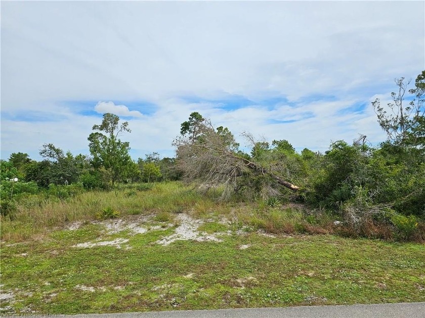Check out this vacant, partially cleared residential lot, ready - photo 3