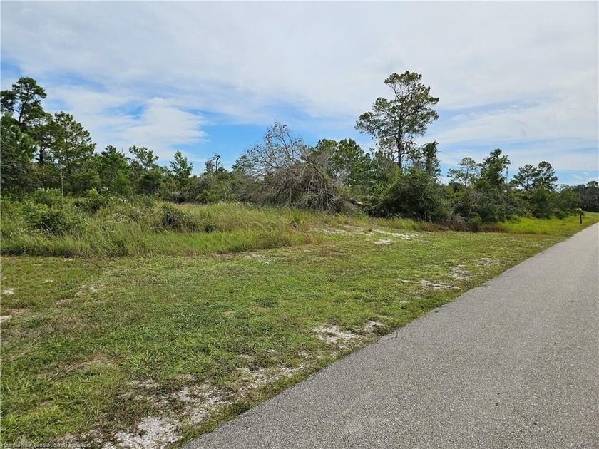 Check out this vacant, partially cleared residential lot, ready - photo 4