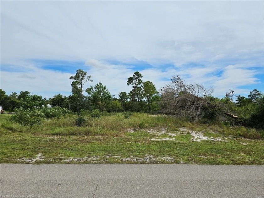 Check out this vacant, partially cleared residential lot, ready - photo 5