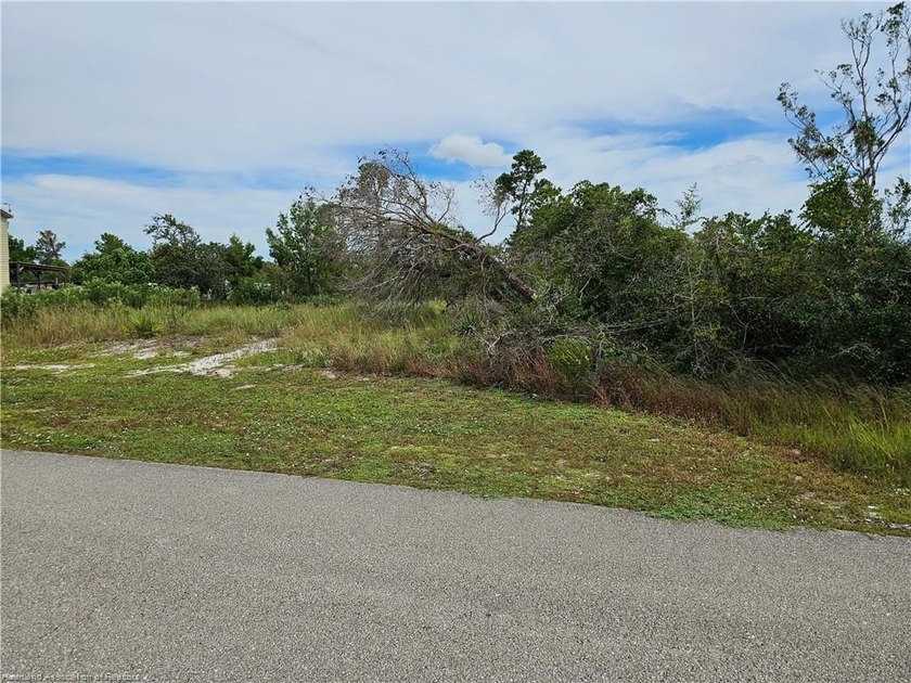 Check out this vacant, partially cleared residential lot, ready - photo 6