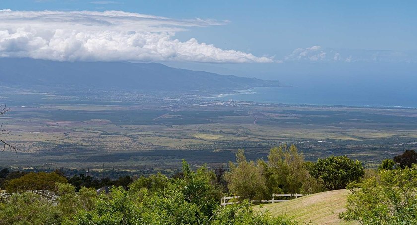 20 Kuulani Pl, Kula offers two beautiful wooded acres in the - photo 33