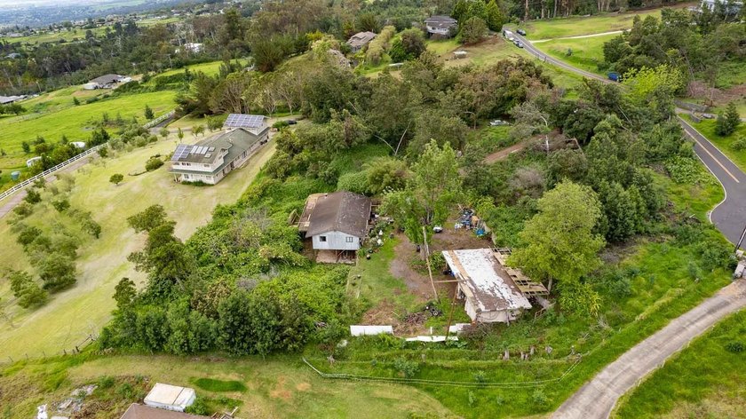 20 Kuulani Pl, Kula offers two beautiful wooded acres in the - photo 43