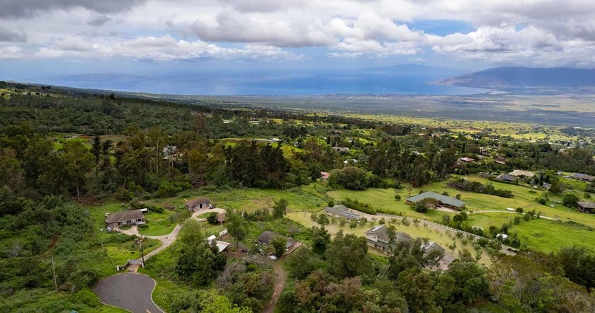 20 Kuulani Pl, Kula offers two beautiful wooded acres in the - photo 45
