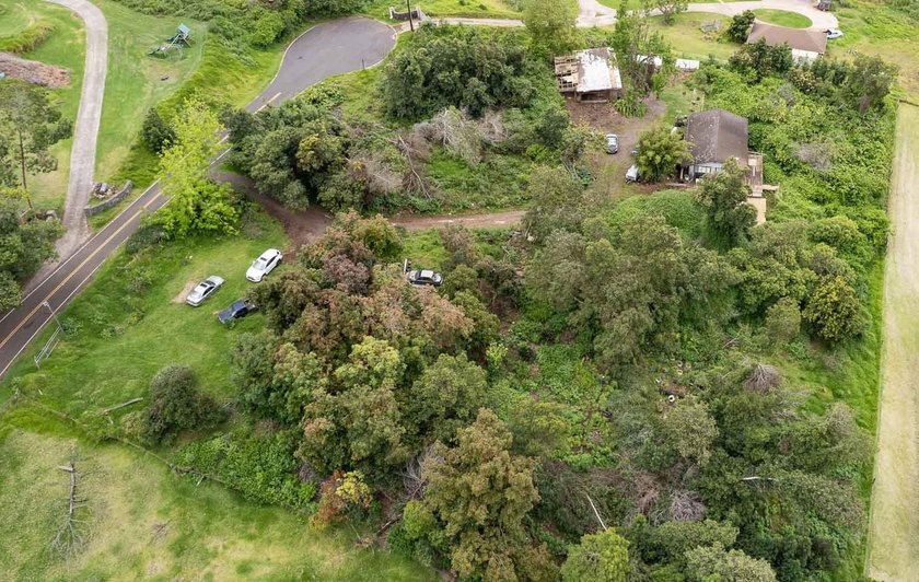 20 Kuulani Pl, Kula offers two beautiful wooded acres in the - photo 46