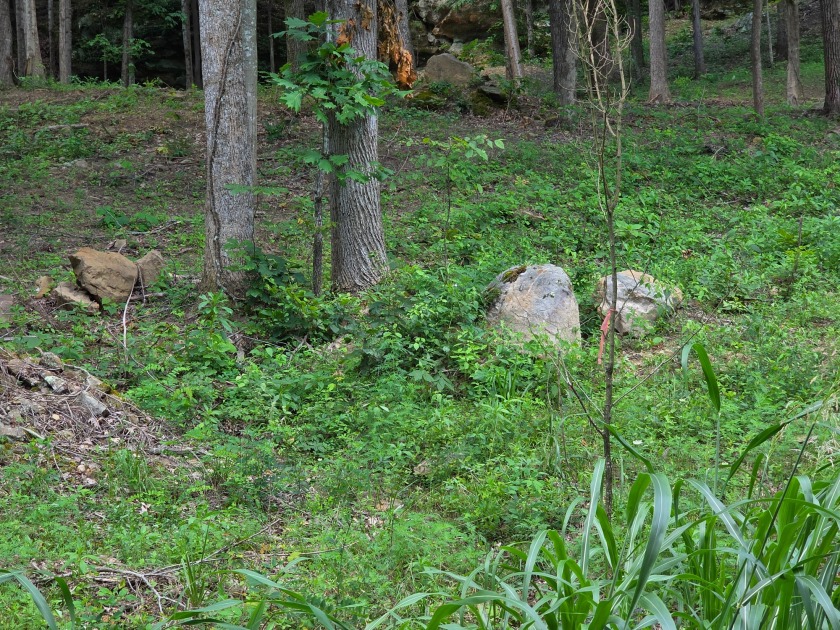 4 Acres to Build Your Dream Home Close to the Lake! - photo 8
